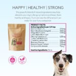 Immune Support for Dogs: Keeping Your Pup Healthy and Happy