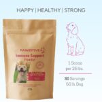 Boost Your Dog's Immune System with Natural Support