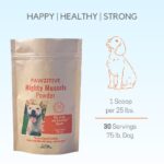 Enhance Your Dog's Mobility with Mighty Mussels: Joint Health in Every Bite